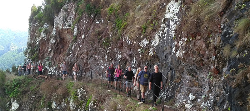 Lakes of Madeira